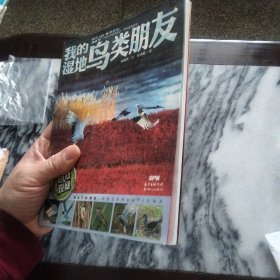 自然观察: 我的湿地鸟类朋友