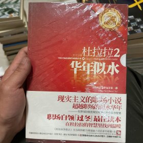 杜拉拉2：华年似水：《杜拉拉升职记》第二部