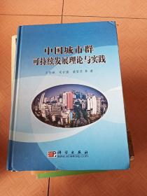 中国城市群可持续发展理论与实践