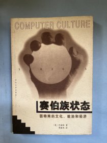 计算机文化丛书：赛伯族状态（因特网的文化、政治和经济）