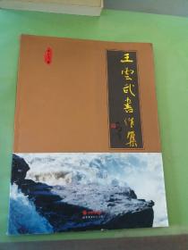 王云武书作集（签赠本）。。