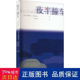 夜半撞车（2014年诺贝尔文学奖获得者帕特里克 莫迪亚诺作品）