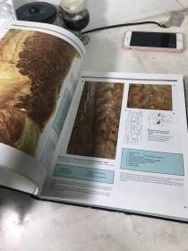 1984年COLOR ATLAS OF HUMAN ANATOMY 人体解剖彩色图集，伦敦大学解剖学教授联合主编，大16开357页精装