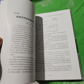 中国可持续发展矿产资源战略研究