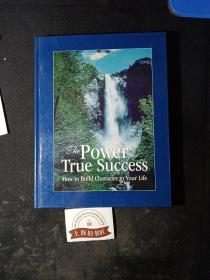 The power for true success（精装）