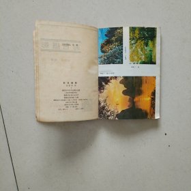 彩色摄影