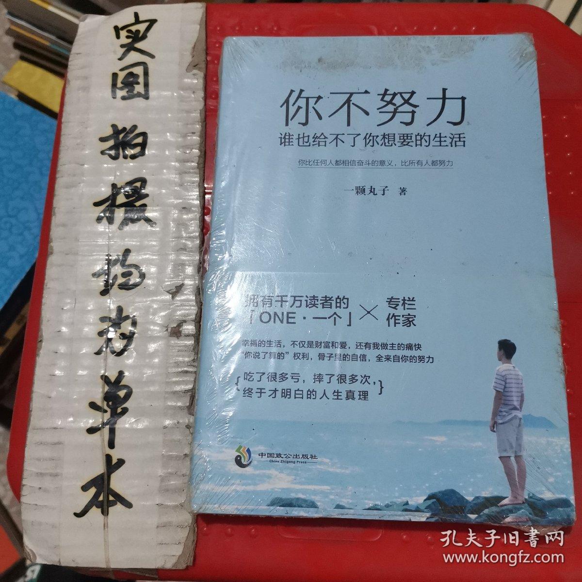 你不努力，谁也给不了你想要的生活