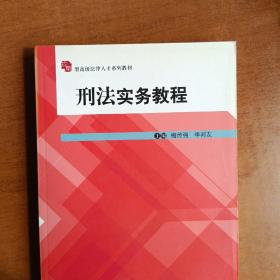 应用型高级法律人才系列教材：刑法实务教程