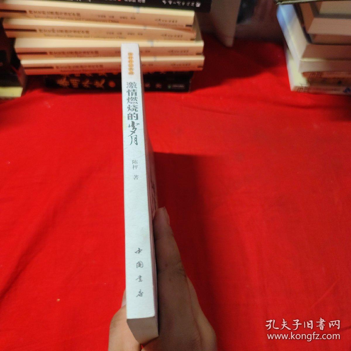 激情燃烧的岁月