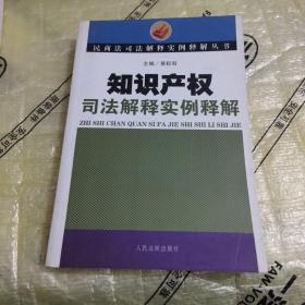 知识产权司法解释实例释解