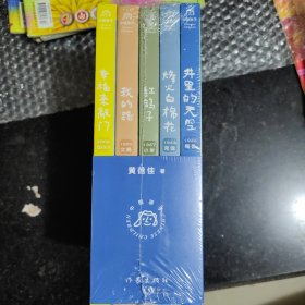 黄蓓佳·中国孩子（函套用号），幸福来敲门，我的路，红鸽子，烽火白棉花，井里的天空，5本合售