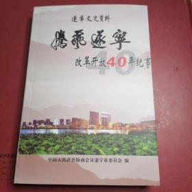 遂宁文史资料 第二十九辑 腾飞遂宁 改革开放40年纪事
