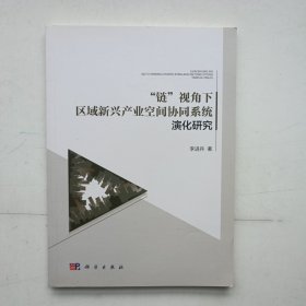 “鏈”視角下區(qū)域新興產(chǎn)業(yè)空間協(xié)同系統(tǒng)演化研究