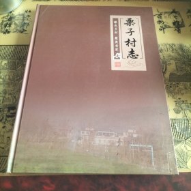 栗子村志 （济源）
