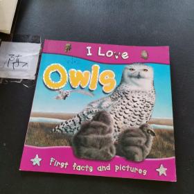 I Love Owls
英文绘本