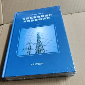 大型互联电网运行可靠性基础研究 全套两册