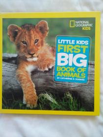 First Big Book of Animals 英文原版