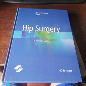 Hip Surgery：A Practical Guide（髋部外科学）英文版