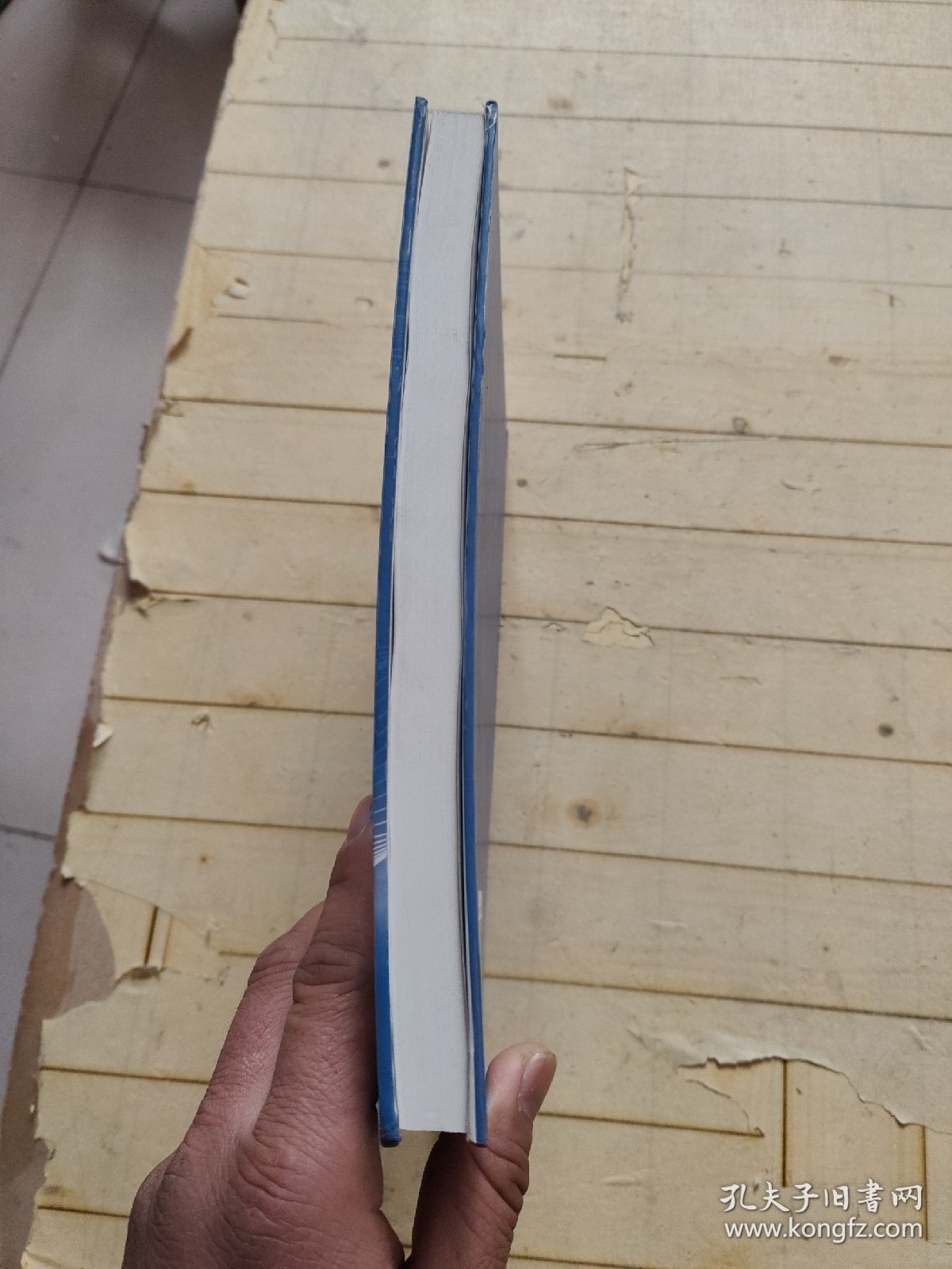 泵站工程 (严登丰签赠本)