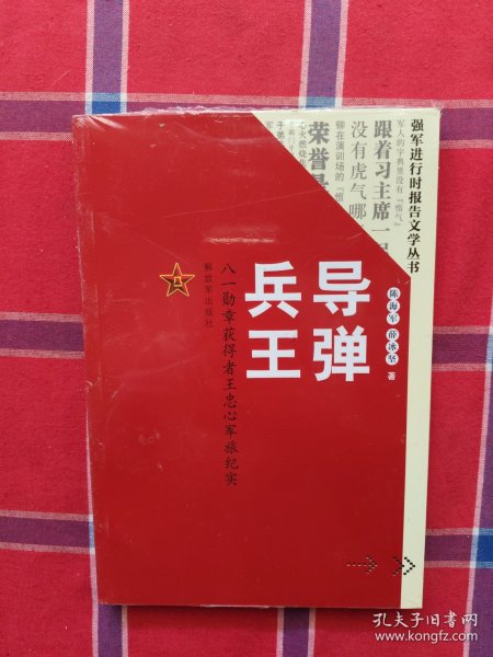 导弹兵王