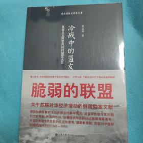 冷战中的盟友：社会主义阵营内部的国家关系