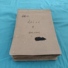 长篇小说手稿（黑暗的年代）韩文