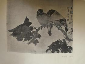 徐悲鸿选画范3套合售 人物（30张缺第6张）动物（34张全） 静物风景（22张全）有收藏章