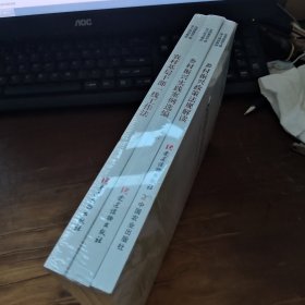农村基层干部一线工作法，3册合售