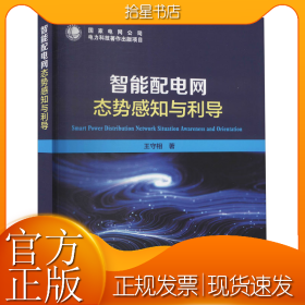 智能配电网态势感知与利导