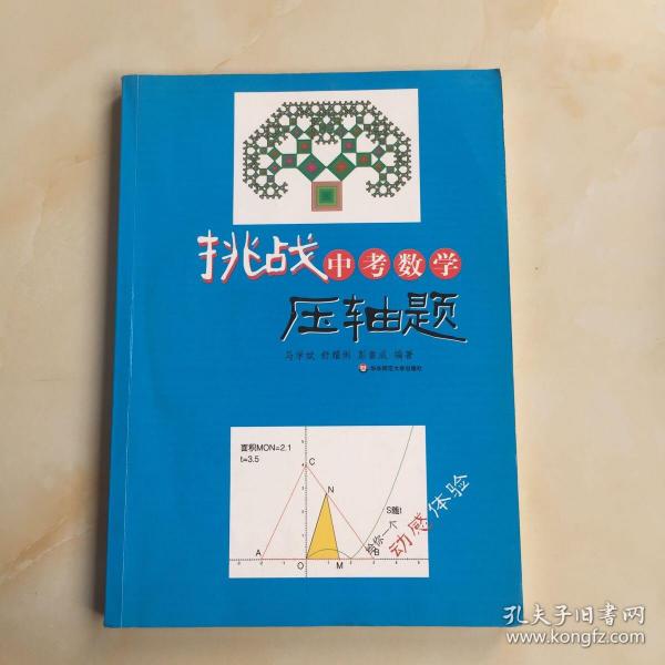 挑战中考数学压轴题