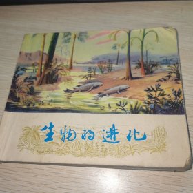 连环画 生物的进化