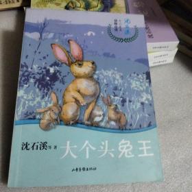 大个头兔王/沈石溪十二生肖动物小说