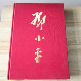 邓小平（画册）献给邓小平诞辰100周年（8开精装特印本）（品如图，内页干净如新）