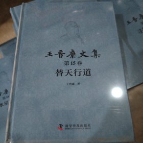 王晋康文集 第十五卷 替天行道