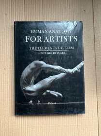 Human Anatomy for Artists：The Elements of Form（艺术家的人体解剖：形式的元素）英文原版