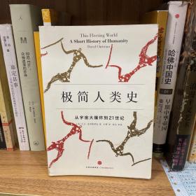 极简人类史：从宇宙大爆炸到21世纪