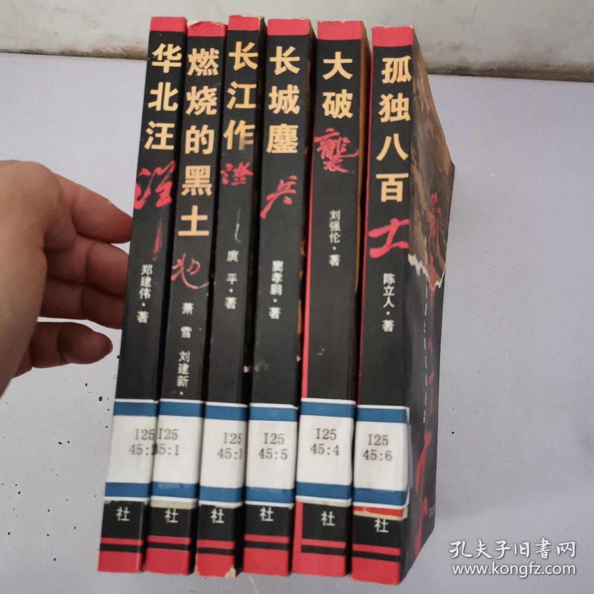 中国抗战大写真系列全6本 有一本有墨汁水 请看图