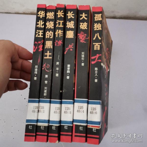 中国抗战大写真系列全6本 有一本有墨汁水 请看图