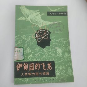 伊甸园的飞龙