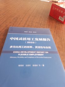 中国灵活用工发展报告（2022）多元化用工的效率、灵活性与合规