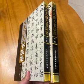 精装大开本:八大山人书法集 上下全两册（图多有释文。品好）