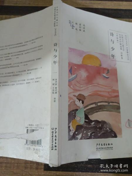 中国当代儿童文学名家名作精选集（彩绘版）诗歌卷：诗与少年