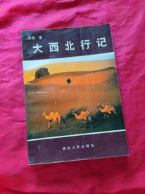 大西北行记