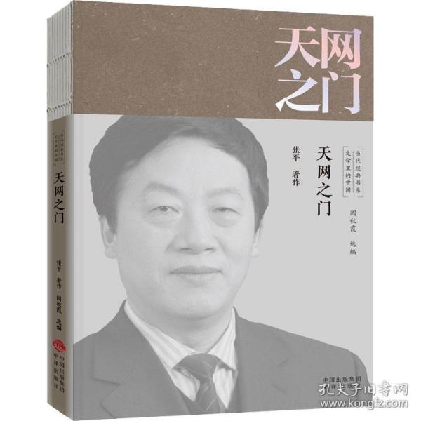 天网之门/文学里的中国当代经典书系