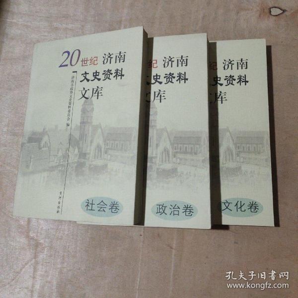 20世纪济南文史资料文库. 3, 军事卷