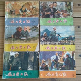 敌后武工队 一套6册全