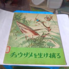 智捕大鲟鱼T135一版一次