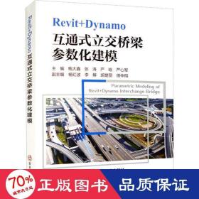 Revit+Dynamo互通式立交桥梁参数化建模