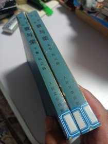 衰与荣 上下