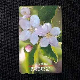 日本田村电话卡13～青森県的花